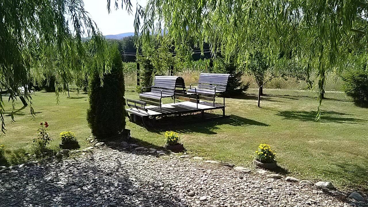 Pensiunea Maya Sîmbăta de Sus Exteriör bild