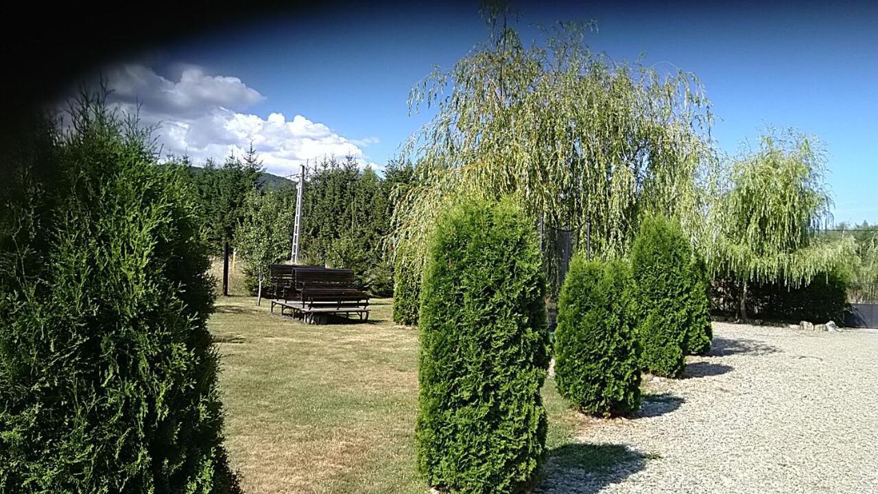 Pensiunea Maya Sîmbăta de Sus Exteriör bild