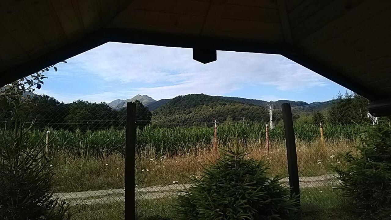 Pensiunea Maya Sîmbăta de Sus Exteriör bild