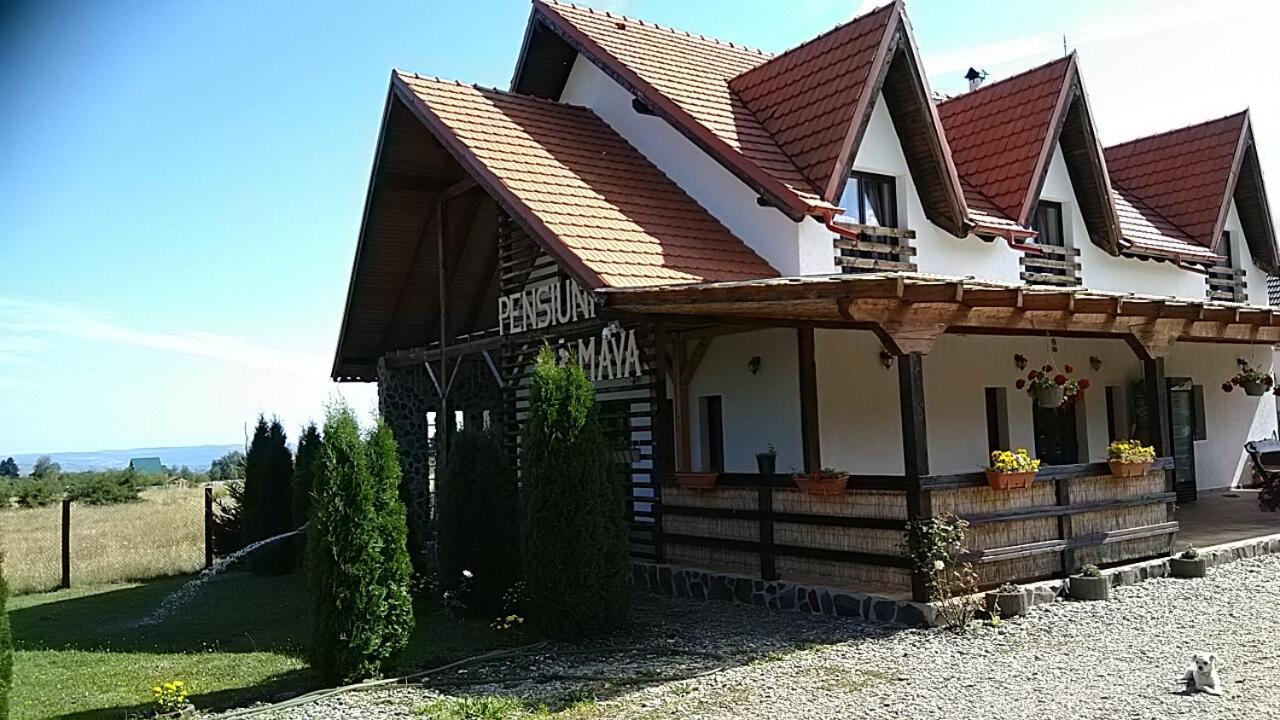 Pensiunea Maya Sîmbăta de Sus Exteriör bild