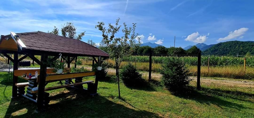 Pensiunea Maya Sîmbăta de Sus Exteriör bild