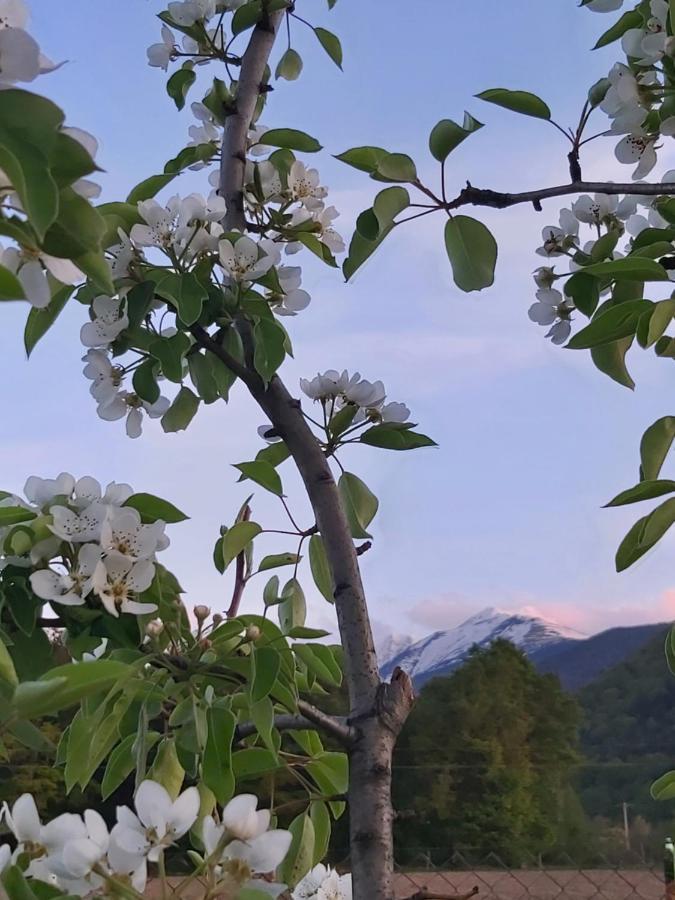 Pensiunea Maya Sîmbăta de Sus Exteriör bild