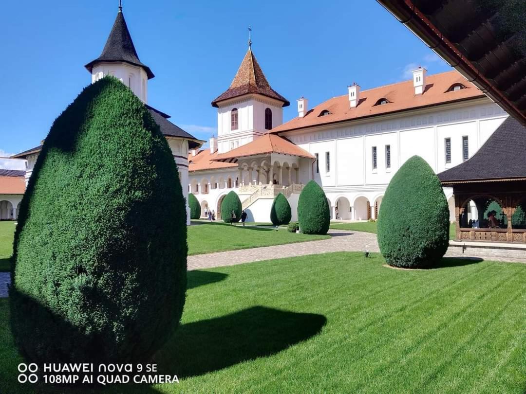 Pensiunea Maya Sîmbăta de Sus Exteriör bild