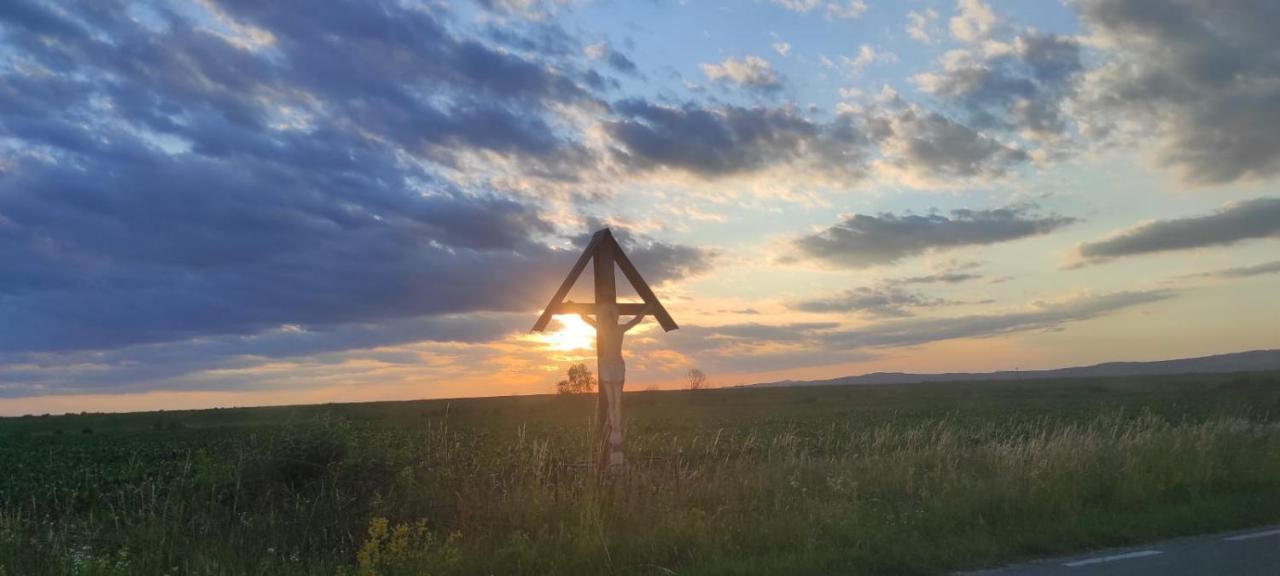 Pensiunea Maya Sîmbăta de Sus Exteriör bild