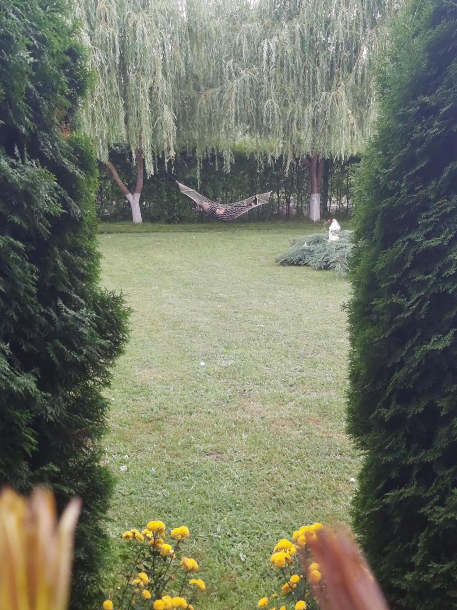 Pensiunea Maya Sîmbăta de Sus Exteriör bild