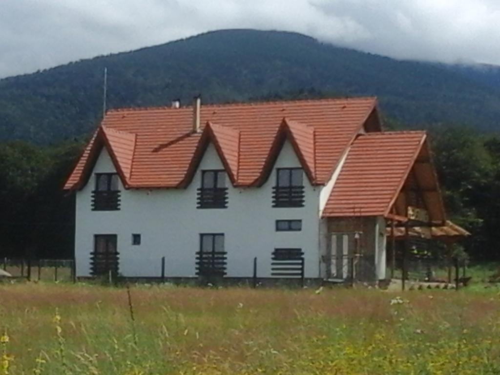 Pensiunea Maya Sîmbăta de Sus Exteriör bild